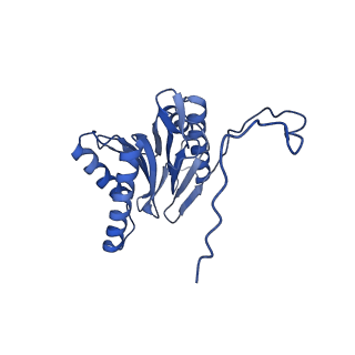 29765_8g6f_I_v1-1
Structure of the Plasmodium falciparum 20S proteasome beta-6 A117D mutant complexed with inhibitor WLW-vs