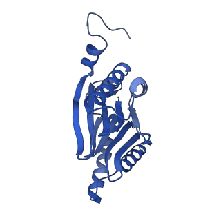 29765_8g6f_L_v1-1
Structure of the Plasmodium falciparum 20S proteasome beta-6 A117D mutant complexed with inhibitor WLW-vs