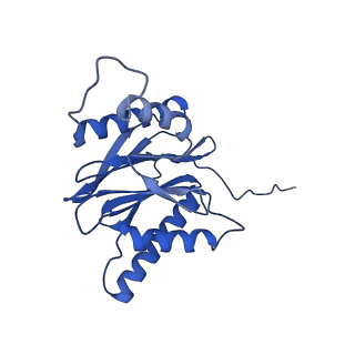 29765_8g6f_M_v1-1
Structure of the Plasmodium falciparum 20S proteasome beta-6 A117D mutant complexed with inhibitor WLW-vs