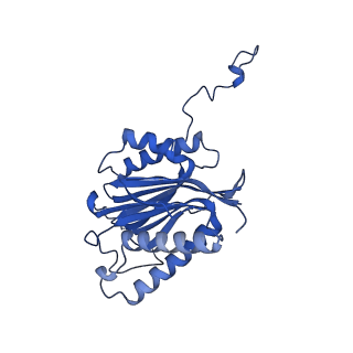 29765_8g6f_N_v1-1
Structure of the Plasmodium falciparum 20S proteasome beta-6 A117D mutant complexed with inhibitor WLW-vs