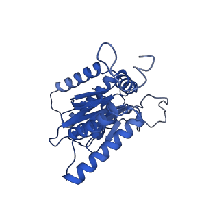 29765_8g6f_O_v1-1
Structure of the Plasmodium falciparum 20S proteasome beta-6 A117D mutant complexed with inhibitor WLW-vs