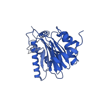 29765_8g6f_S_v1-1
Structure of the Plasmodium falciparum 20S proteasome beta-6 A117D mutant complexed with inhibitor WLW-vs