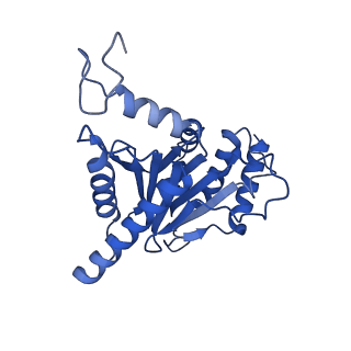29765_8g6f_U_v1-1
Structure of the Plasmodium falciparum 20S proteasome beta-6 A117D mutant complexed with inhibitor WLW-vs