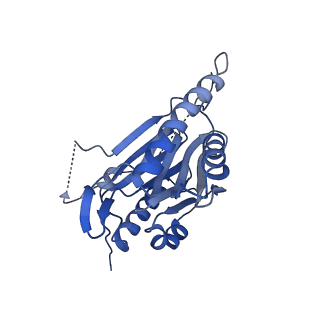 29765_8g6f_V_v1-1
Structure of the Plasmodium falciparum 20S proteasome beta-6 A117D mutant complexed with inhibitor WLW-vs