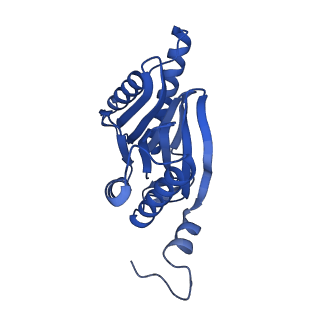 29765_8g6f_Z_v1-1
Structure of the Plasmodium falciparum 20S proteasome beta-6 A117D mutant complexed with inhibitor WLW-vs