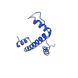 29767_8g6g_A_v1-0
H2BK120ub+H3K79me2-modified nucleosome ubiquitin position 5