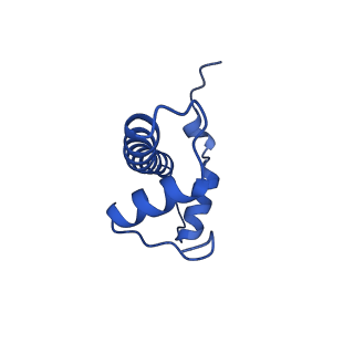 29767_8g6g_B_v1-0
H2BK120ub+H3K79me2-modified nucleosome ubiquitin position 5