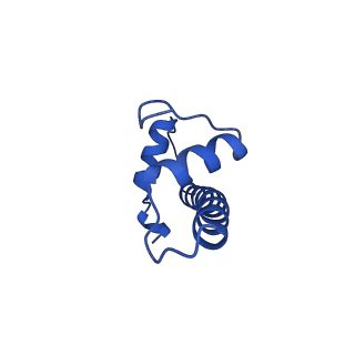 29767_8g6g_F_v1-0
H2BK120ub+H3K79me2-modified nucleosome ubiquitin position 5