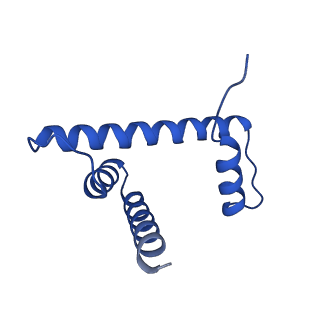 29767_8g6g_H_v1-0
H2BK120ub+H3K79me2-modified nucleosome ubiquitin position 5