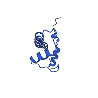 29769_8g6h_B_v1-0
H2BK120ub+H3K79me2-modified nucleosome ubiquitin position 6