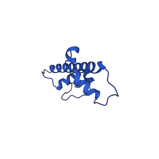 29769_8g6h_C_v1-0
H2BK120ub+H3K79me2-modified nucleosome ubiquitin position 6