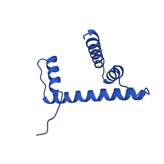 29769_8g6h_D_v1-0
H2BK120ub+H3K79me2-modified nucleosome ubiquitin position 6