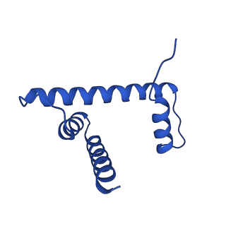 29769_8g6h_H_v1-0
H2BK120ub+H3K79me2-modified nucleosome ubiquitin position 6