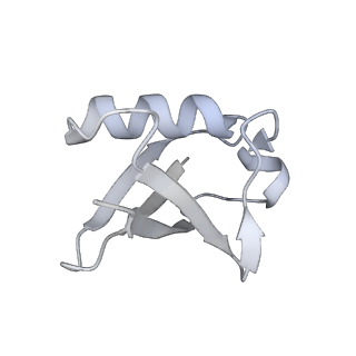 29769_8g6h_K_v1-0
H2BK120ub+H3K79me2-modified nucleosome ubiquitin position 6