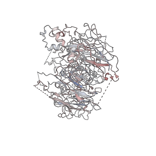 29770_8g6i_A_v1-1
Coagulation factor VIII bound to a patient-derived anti-C1 domain antibody inhibitor