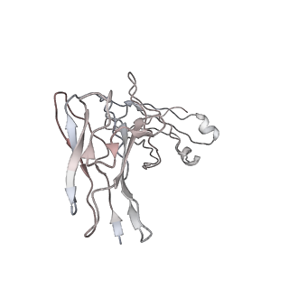29770_8g6i_B_v1-1
Coagulation factor VIII bound to a patient-derived anti-C1 domain antibody inhibitor