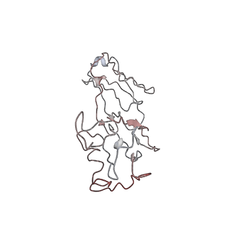 29770_8g6i_C_v1-1
Coagulation factor VIII bound to a patient-derived anti-C1 domain antibody inhibitor