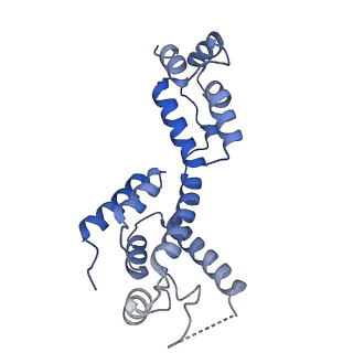 29772_8g6k_E_v1-2
HIV-1 CA lattice bound to IP6; from capsid-like particles