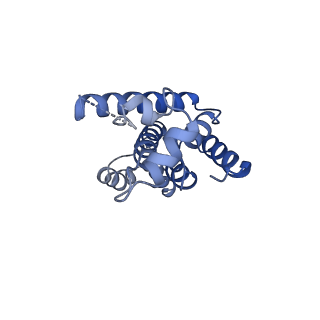 29775_8g6n_B_v1-2
HIV-1 capsid lattice bound to dNTPs