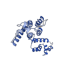 29775_8g6n_C_v1-2
HIV-1 capsid lattice bound to dNTPs