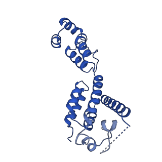 29775_8g6n_D_v1-2
HIV-1 capsid lattice bound to dNTPs