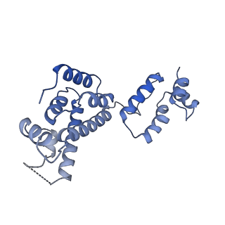 29775_8g6n_G_v1-2
HIV-1 capsid lattice bound to dNTPs