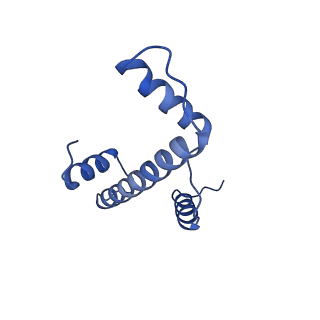 29778_8g6q_A_v1-0
H2AK119ub-modified nucleosome ubiquitin position 1