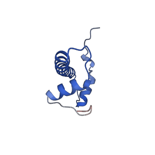 29778_8g6q_B_v1-0
H2AK119ub-modified nucleosome ubiquitin position 1