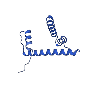 29778_8g6q_D_v1-0
H2AK119ub-modified nucleosome ubiquitin position 1