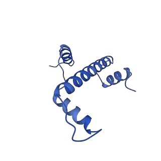 29778_8g6q_E_v1-0
H2AK119ub-modified nucleosome ubiquitin position 1