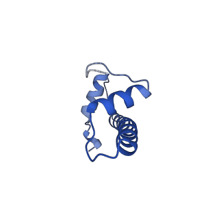 29778_8g6q_F_v1-0
H2AK119ub-modified nucleosome ubiquitin position 1