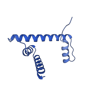 29778_8g6q_H_v1-0
H2AK119ub-modified nucleosome ubiquitin position 1