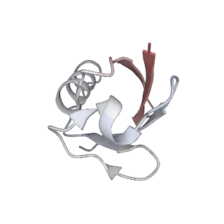 29778_8g6q_K_v1-0
H2AK119ub-modified nucleosome ubiquitin position 1