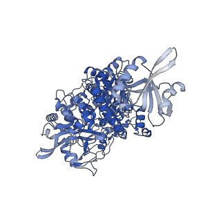 29779_8g6r_A_v1-2
Porcine epidemic diarrhea virus core polymerase complex