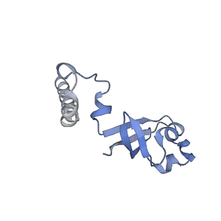 29779_8g6r_B_v1-2
Porcine epidemic diarrhea virus core polymerase complex