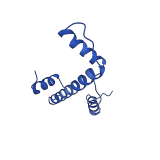 29781_8g6s_A_v1-0
H2AK119ub-modified nucleosome ubiquitin position 2