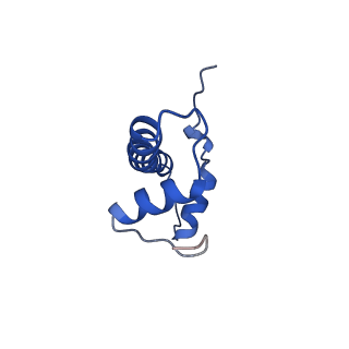 29781_8g6s_B_v1-0
H2AK119ub-modified nucleosome ubiquitin position 2