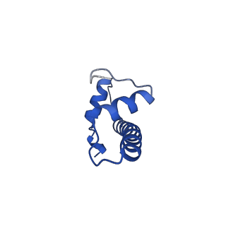 29781_8g6s_F_v1-0
H2AK119ub-modified nucleosome ubiquitin position 2