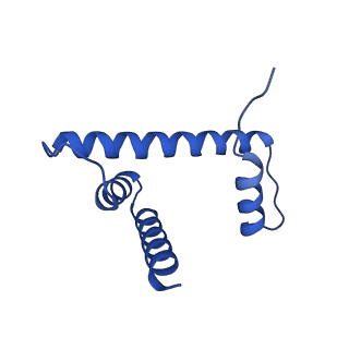 29781_8g6s_H_v1-0
H2AK119ub-modified nucleosome ubiquitin position 2