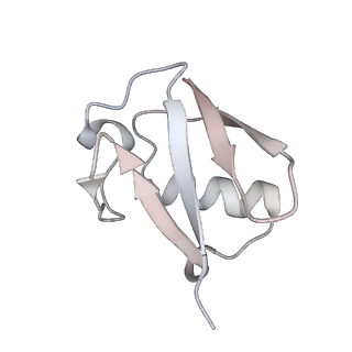 29781_8g6s_K_v1-0
H2AK119ub-modified nucleosome ubiquitin position 2