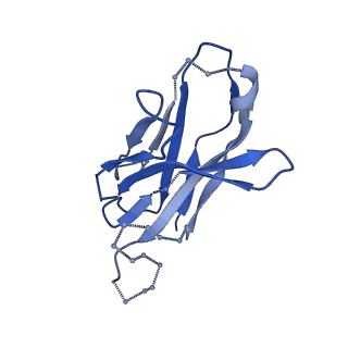 29783_8g6u_C_v1-0
Cryo-EM structure of T/F100 SOSIP.664 HIV-1 Env trimer with LMHS mutations in complex with 8ANC195 and 10-1074