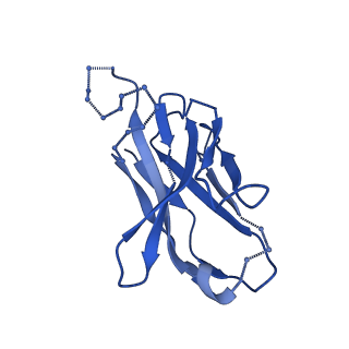 29783_8g6u_G_v1-0
Cryo-EM structure of T/F100 SOSIP.664 HIV-1 Env trimer with LMHS mutations in complex with 8ANC195 and 10-1074