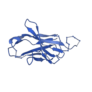29783_8g6u_K_v1-0
Cryo-EM structure of T/F100 SOSIP.664 HIV-1 Env trimer with LMHS mutations in complex with 8ANC195 and 10-1074