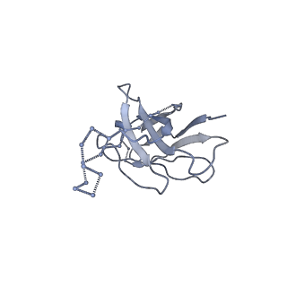 29783_8g6u_O_v1-0
Cryo-EM structure of T/F100 SOSIP.664 HIV-1 Env trimer with LMHS mutations in complex with 8ANC195 and 10-1074