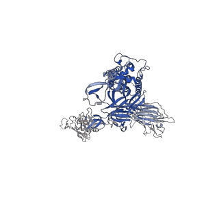 29792_8g70_B_v1-0
SARS-CoV-2 spike/nanobody mixture complex