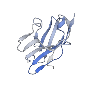 29792_8g70_E_v1-0
SARS-CoV-2 spike/nanobody mixture complex