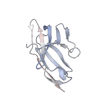 29792_8g70_H_v1-0
SARS-CoV-2 spike/nanobody mixture complex