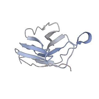 29792_8g70_K_v1-0
SARS-CoV-2 spike/nanobody mixture complex