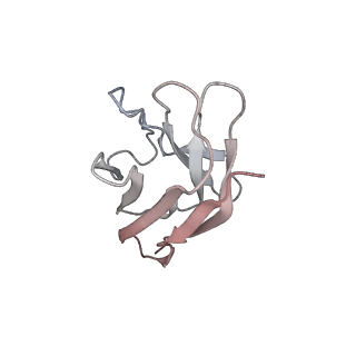 29792_8g70_M_v1-0
SARS-CoV-2 spike/nanobody mixture complex