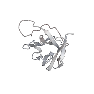 29792_8g70_N_v1-0
SARS-CoV-2 spike/nanobody mixture complex